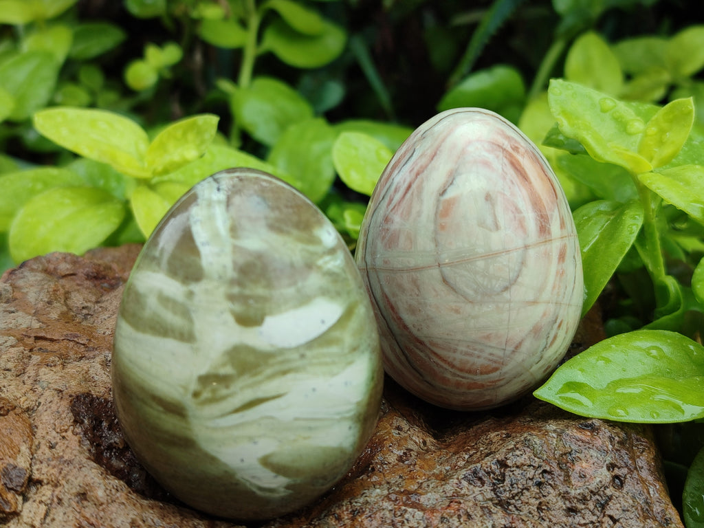 Polished African Banded Butter Jade Eggs - Sold Per Item - From Bronkhorstspruit, South Africa - Toprock Gemstones and Minerals 
