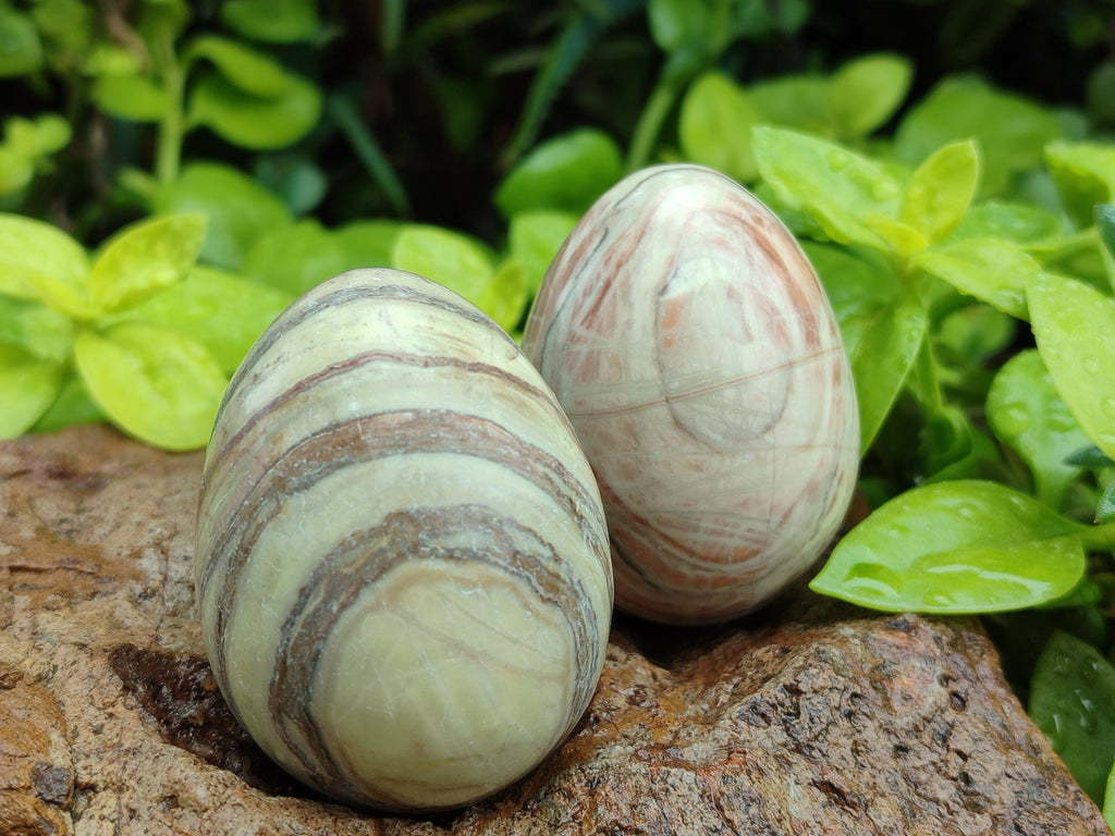 Polished African Banded Butter Jade Eggs - Sold Per Item - From Bronkhorstspruit, South Africa - Toprock Gemstones and Minerals 