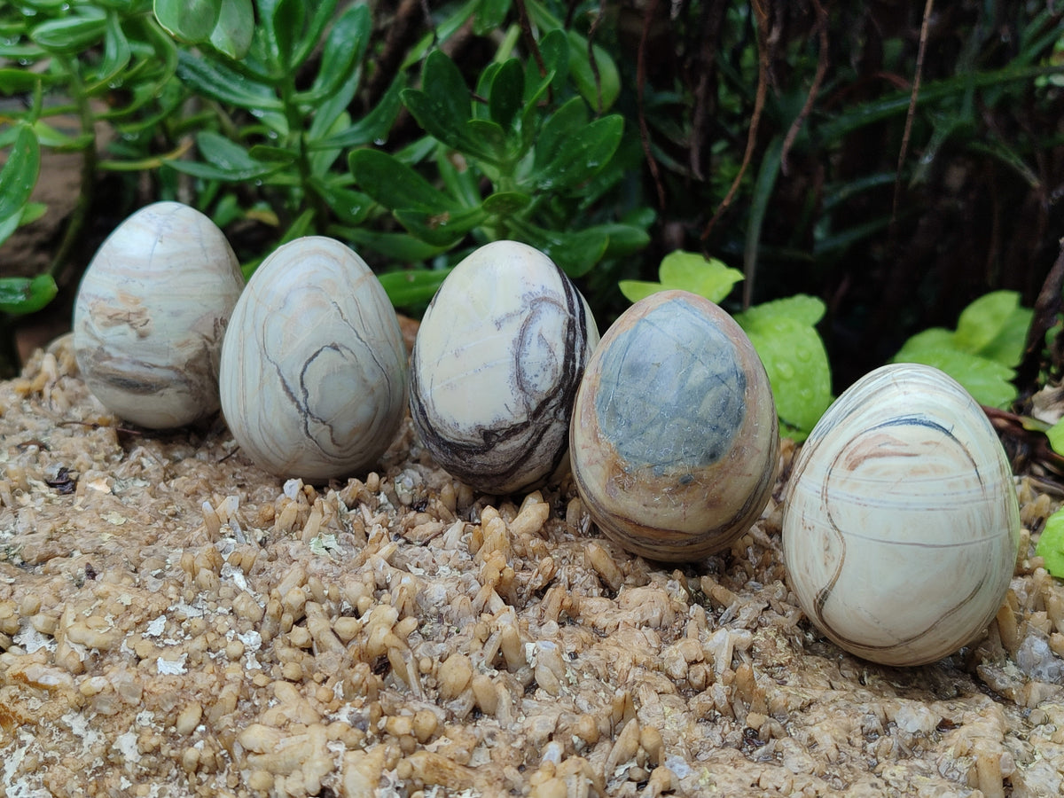 Polished African Banded Butter Jade Eggs - Sold Per Item - From Bronkhorstspruit, South Africa - Toprock Gemstones and Minerals 