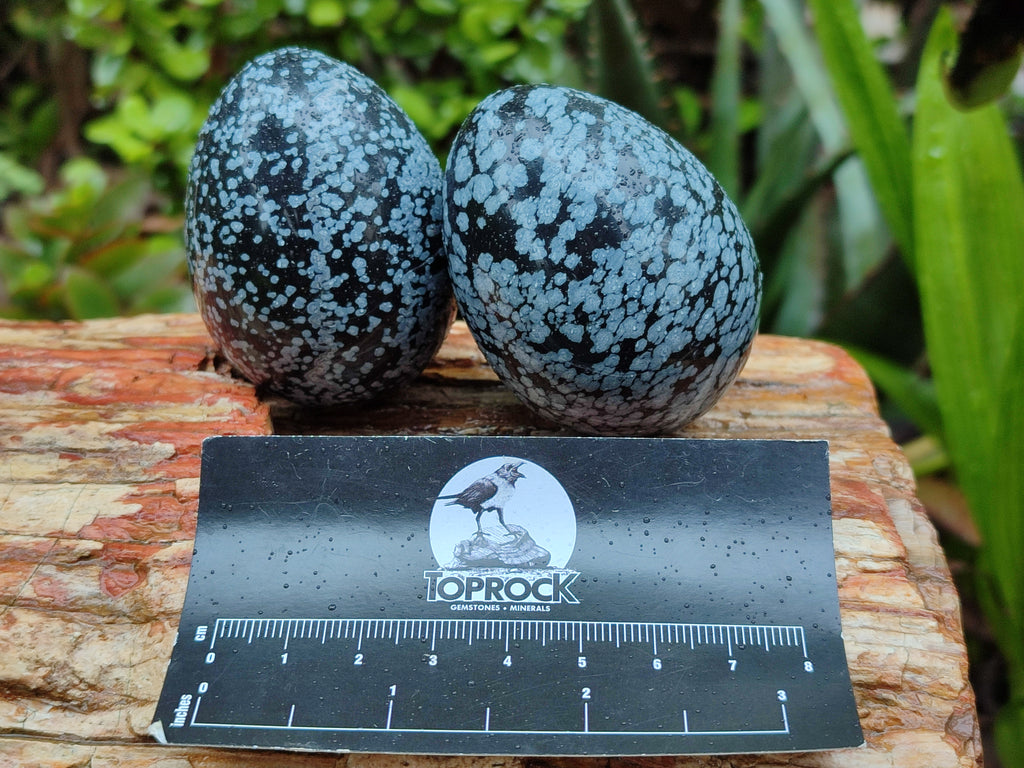 Polished Snowflake Obsidion Gemstone Eggs - Sold Per Item - From Mexico - Toprock Gemstones and Minerals 