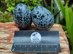 Polished Snowflake Obsidion Gemstone Eggs - Sold Per Item - From Mexico - Toprock Gemstones and Minerals 