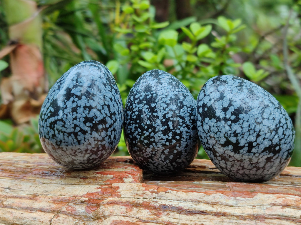 Polished Snowflake Obsidion Gemstone Eggs - Sold Per Item - From Mexico - Toprock Gemstones and Minerals 