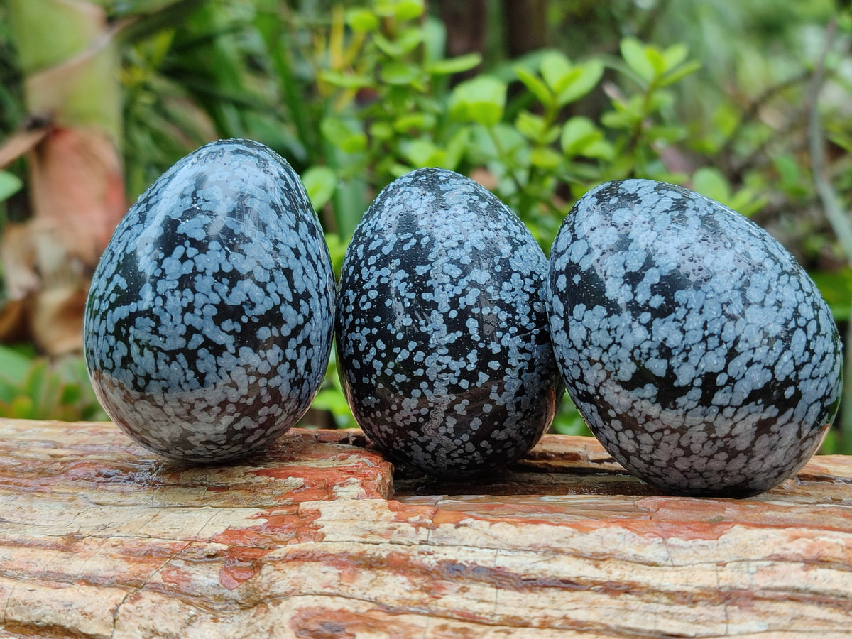Polished Snowflake Obsidion Gemstone Eggs - Sold Per Item - From Mexico - Toprock Gemstones and Minerals 