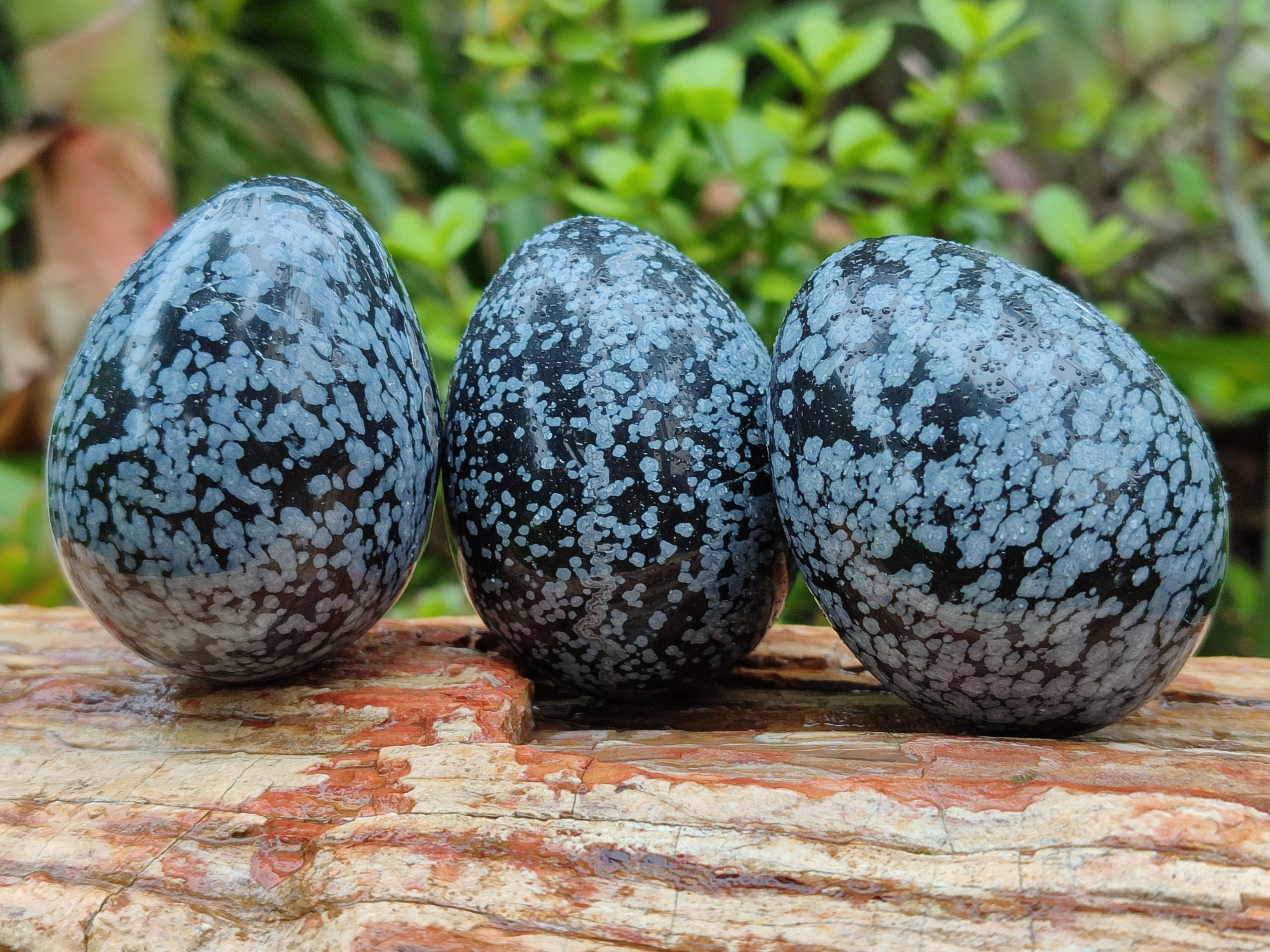 Polished Snowflake Obsidion Gemstone Eggs - Sold Per Item - From Mexico - Toprock Gemstones and Minerals 
