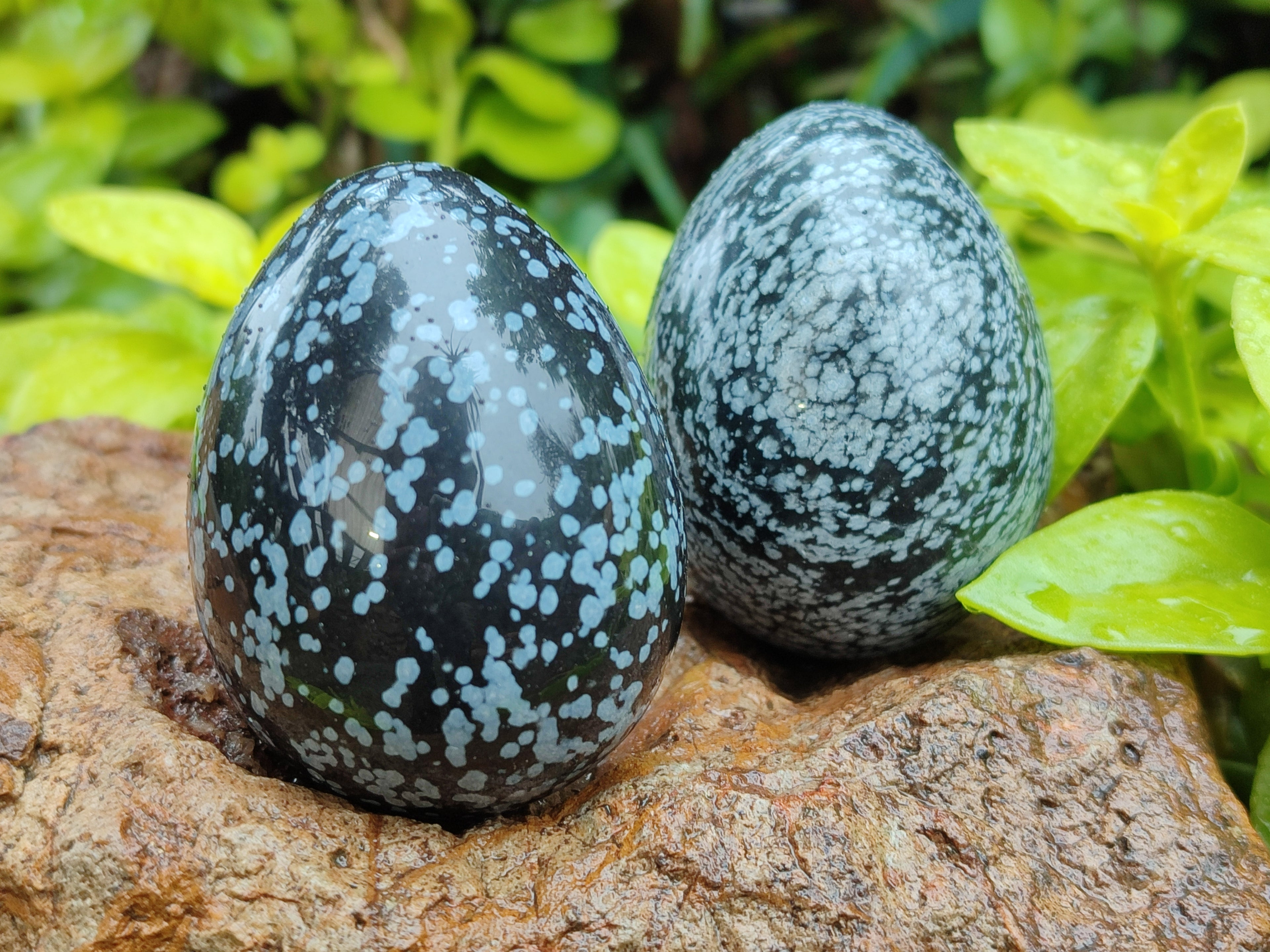 Polished Snowflake Obsidion Gemstone Eggs - Sold Per Item - From Mexico - Toprock Gemstones and Minerals 