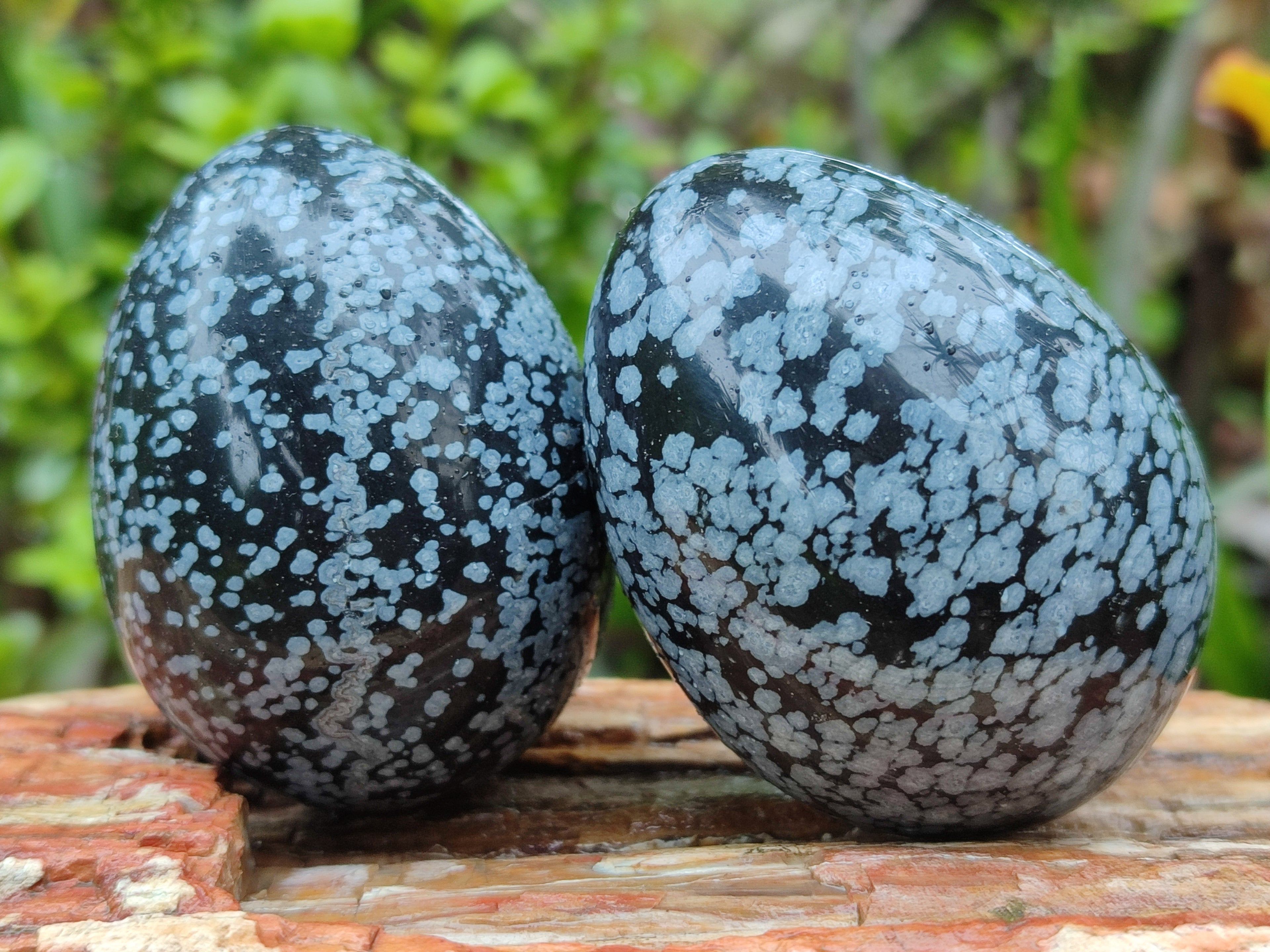 Polished Snowflake Obsidion Gemstone Eggs - Sold Per Item - From Mexico - Toprock Gemstones and Minerals 