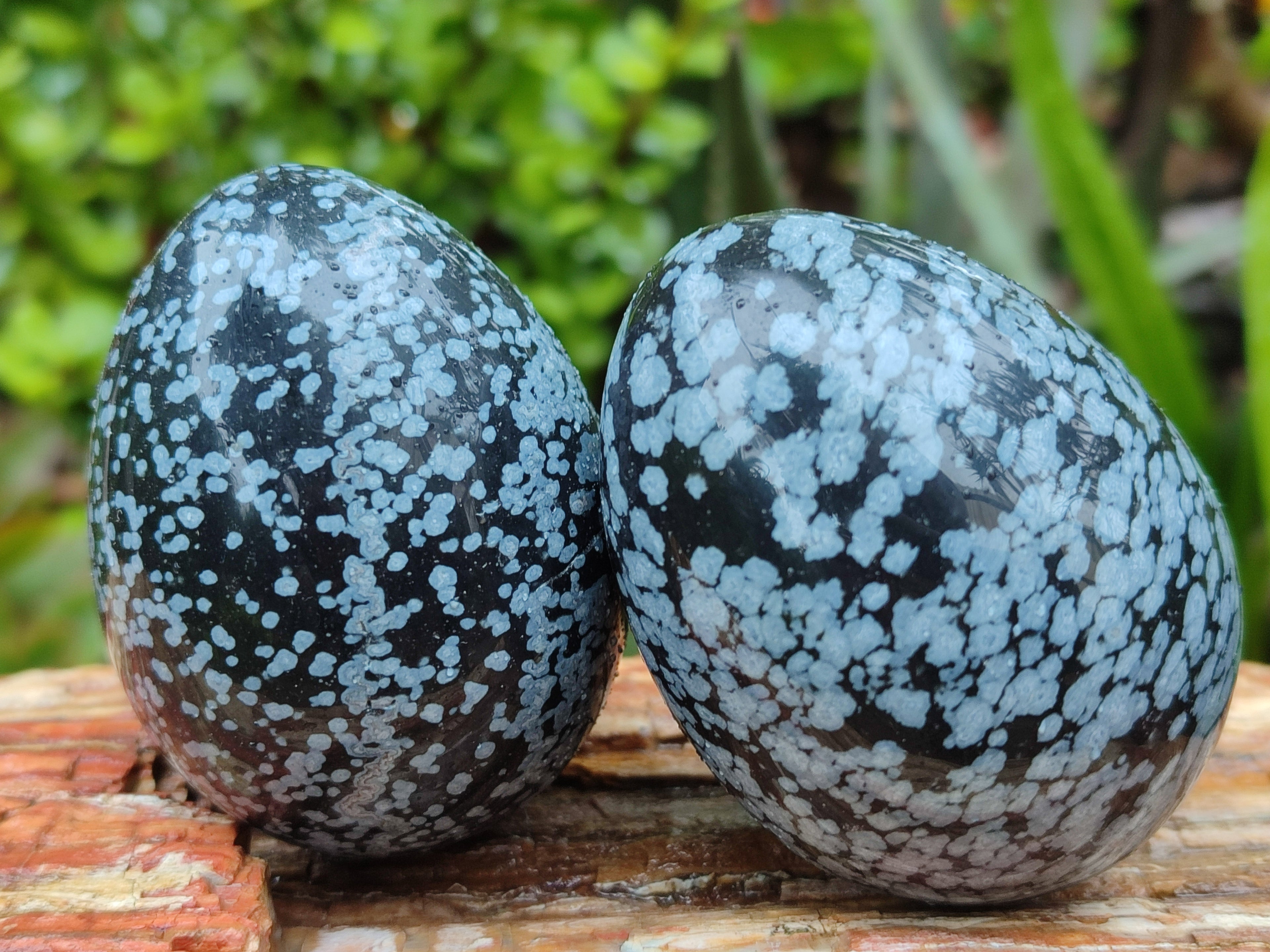 Polished Snowflake Obsidion Gemstone Eggs - Sold Per Item - From Mexico - Toprock Gemstones and Minerals 