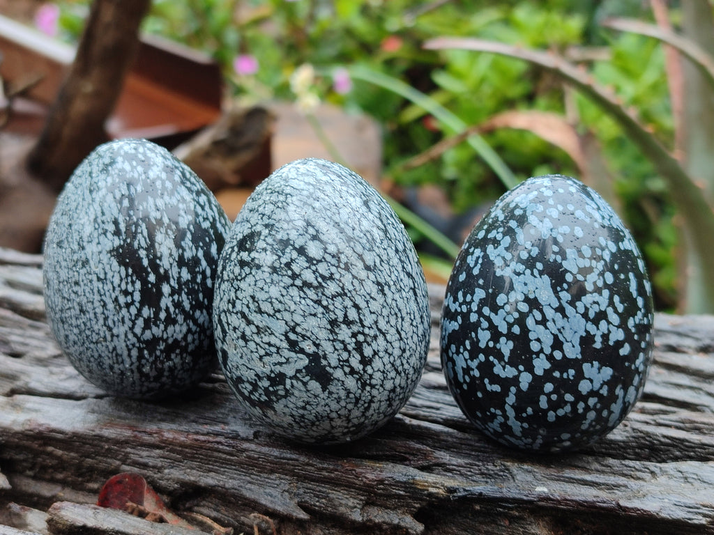 Polished Snowflake Obsidion Gemstone Eggs - Sold Per Item - From Mexico - Toprock Gemstones and Minerals 