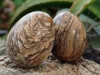 Polished Small Namibian Desert Picture Stone Jasper Eggs - Sold Per Item - From Ais-Ais Namibia - Toprock Gemstones and Minerals 
