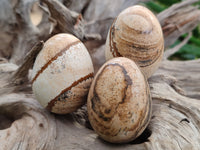 Polished Small Namibian Desert Picture Stone Jasper Eggs - Sold Per Item - From Ais-Ais Namibia - Toprock Gemstones and Minerals 