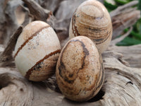 Polished Small Namibian Desert Picture Stone Jasper Eggs - Sold Per Item - From Ais-Ais Namibia - Toprock Gemstones and Minerals 