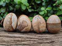 Polished Small Namibian Desert Picture Stone Jasper Eggs - Sold Per Item - From Ais-Ais Namibia - Toprock Gemstones and Minerals 