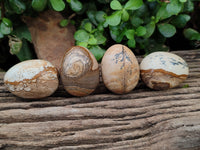 Polished Small Namibian Desert Picture Stone Jasper Eggs - Sold Per Item - From Ais-Ais Namibia - Toprock Gemstones and Minerals 