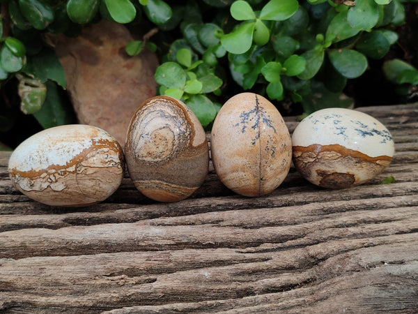 Polished Small Namibian Desert Picture Stone Jasper Eggs - Sold Per Item - From Ais-Ais Namibia - Toprock Gemstones and Minerals 