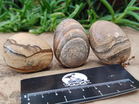 Polished Small Namibian Desert Picture Stone Jasper Eggs - Sold Per Item - From Ais-Ais Namibia - Toprock Gemstones and Minerals 