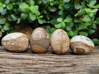 Polished Small Namibian Desert Picture Stone Jasper Eggs - Sold Per Item - From Ais-Ais Namibia - Toprock Gemstones and Minerals 