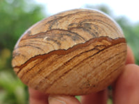Polished Small Namibian Desert Picture Stone Jasper Eggs - Sold Per Item - From Ais-Ais Namibia - Toprock Gemstones and Minerals 