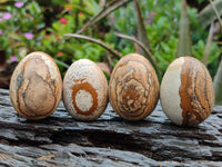 Polished Small Namibian Desert Picture Stone Jasper Eggs - Sold Per Item - From Ais-Ais Namibia - Toprock Gemstones and Minerals 