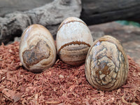 Polished Small Namibian Desert Picture Stone Jasper Eggs - Sold Per Item - From Ais-Ais Namibia - Toprock Gemstones and Minerals 