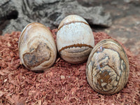 Polished Small Namibian Desert Picture Stone Jasper Eggs - Sold Per Item - From Ais-Ais Namibia - Toprock Gemstones and Minerals 
