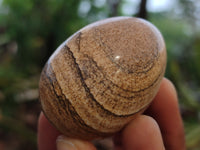 Polished Small Namibian Desert Picture Stone Jasper Eggs - Sold Per Item - From Ais-Ais Namibia - Toprock Gemstones and Minerals 