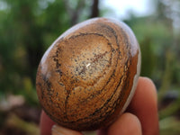 Polished Small Namibian Desert Picture Stone Jasper Eggs - Sold Per Item - From Ais-Ais Namibia - Toprock Gemstones and Minerals 