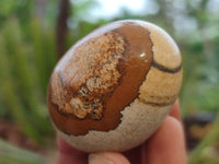 Polished Small Namibian Desert Picture Stone Jasper Eggs - Sold Per Item - From Ais-Ais Namibia - Toprock Gemstones and Minerals 
