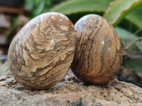 Polished Small Namibian Desert Picture Stone Jasper Eggs - Sold Per Item - From Ais-Ais Namibia - Toprock Gemstones and Minerals 