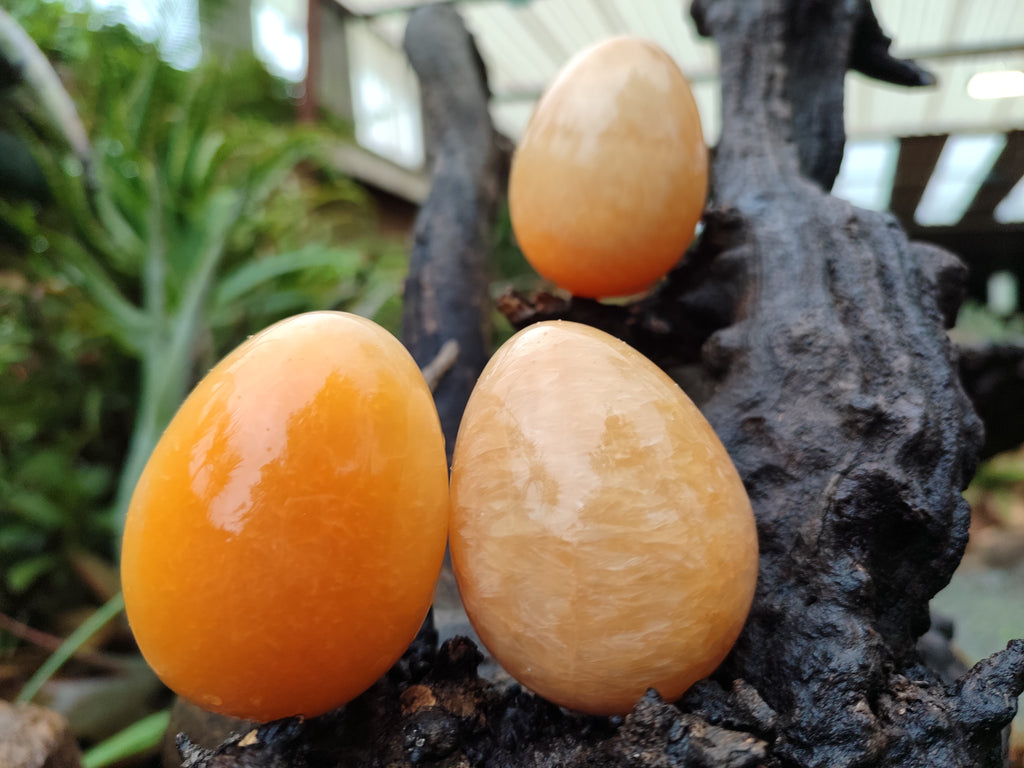 Polished Honey Aragonite Gemstone Eggs - Sold Per Item - From Namibia - Toprock Gemstones and Minerals 