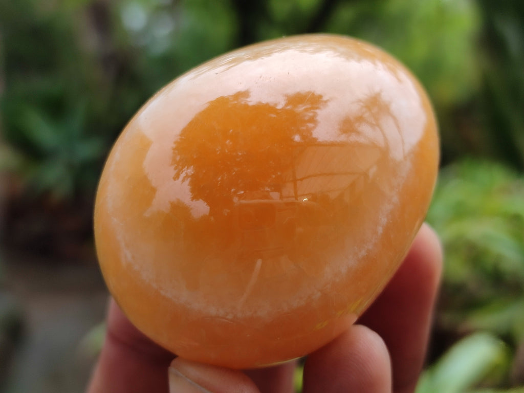 Polished Honey Aragonite Gemstone Eggs - Sold Per Item - From Namibia - Toprock Gemstones and Minerals 