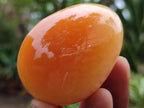 Polished Honey Aragonite Gemstone Eggs - Sold Per Item - From Namibia - Toprock Gemstones and Minerals 