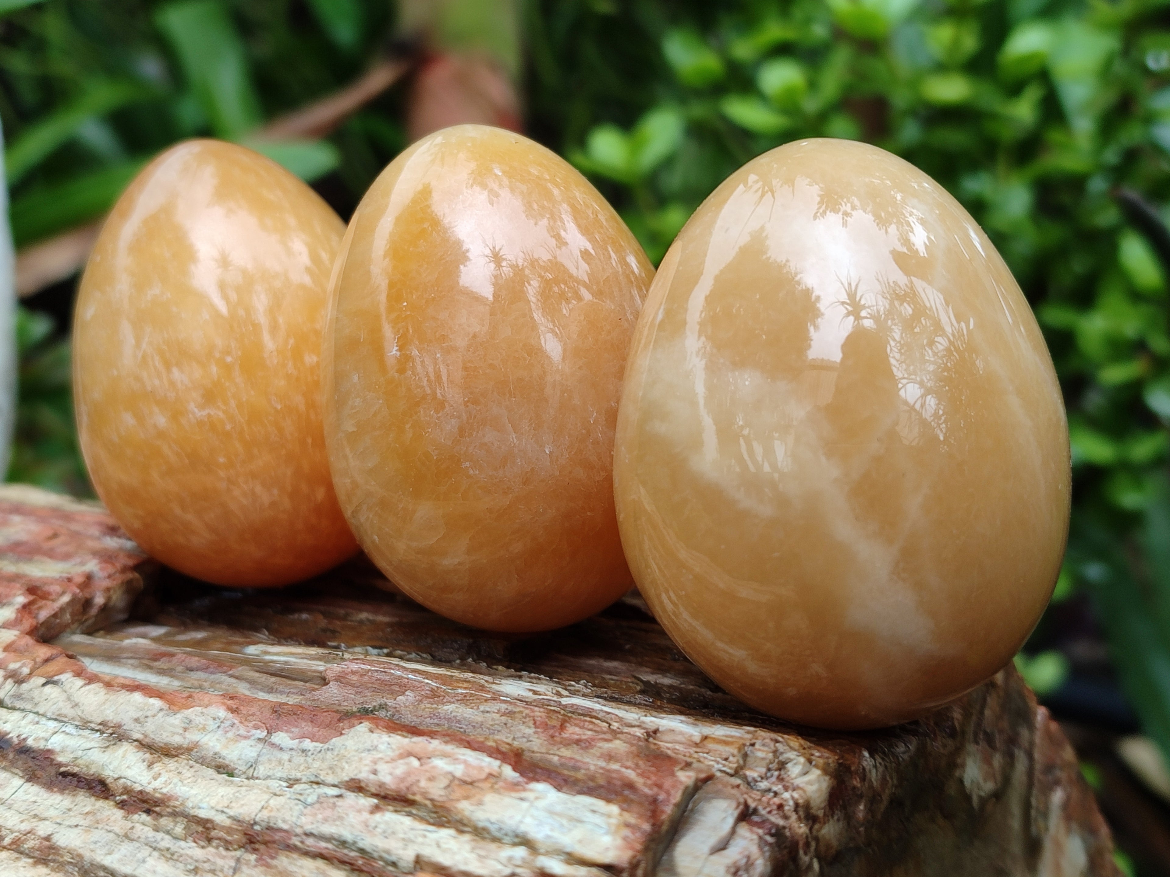 Polished Honey Aragonite Gemstone Eggs - Sold Per Item - From Namibia - Toprock Gemstones and Minerals 