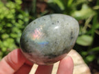 Polished White Labradorite Eggs - Sold Per Item - From Madagascar - Toprock Gemstones and Minerals 