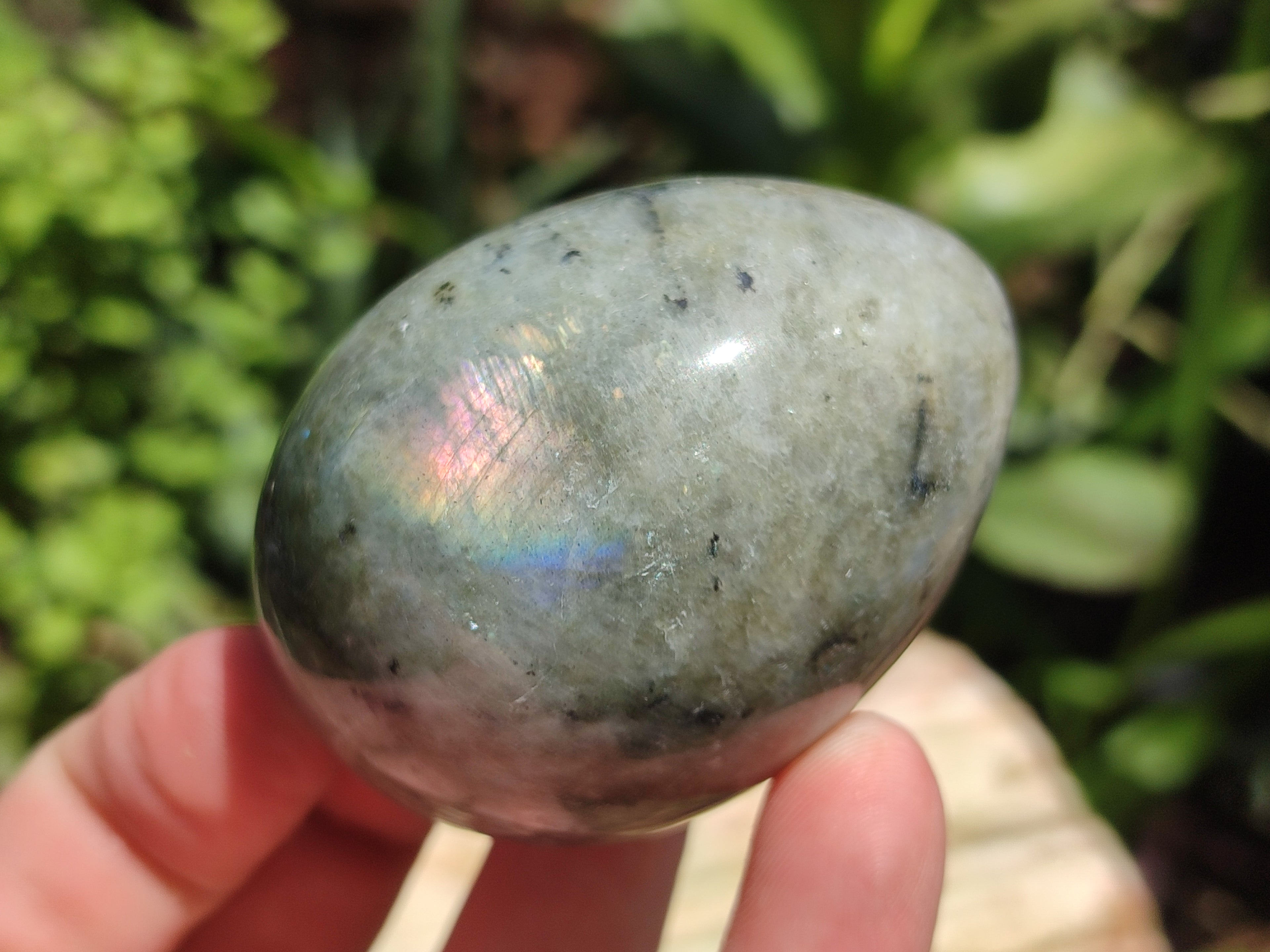 Polished White Labradorite Eggs - Sold Per Item - From Madagascar - Toprock Gemstones and Minerals 