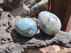 Polished White Labradorite Eggs - Sold Per Item - From Madagascar - Toprock Gemstones and Minerals 