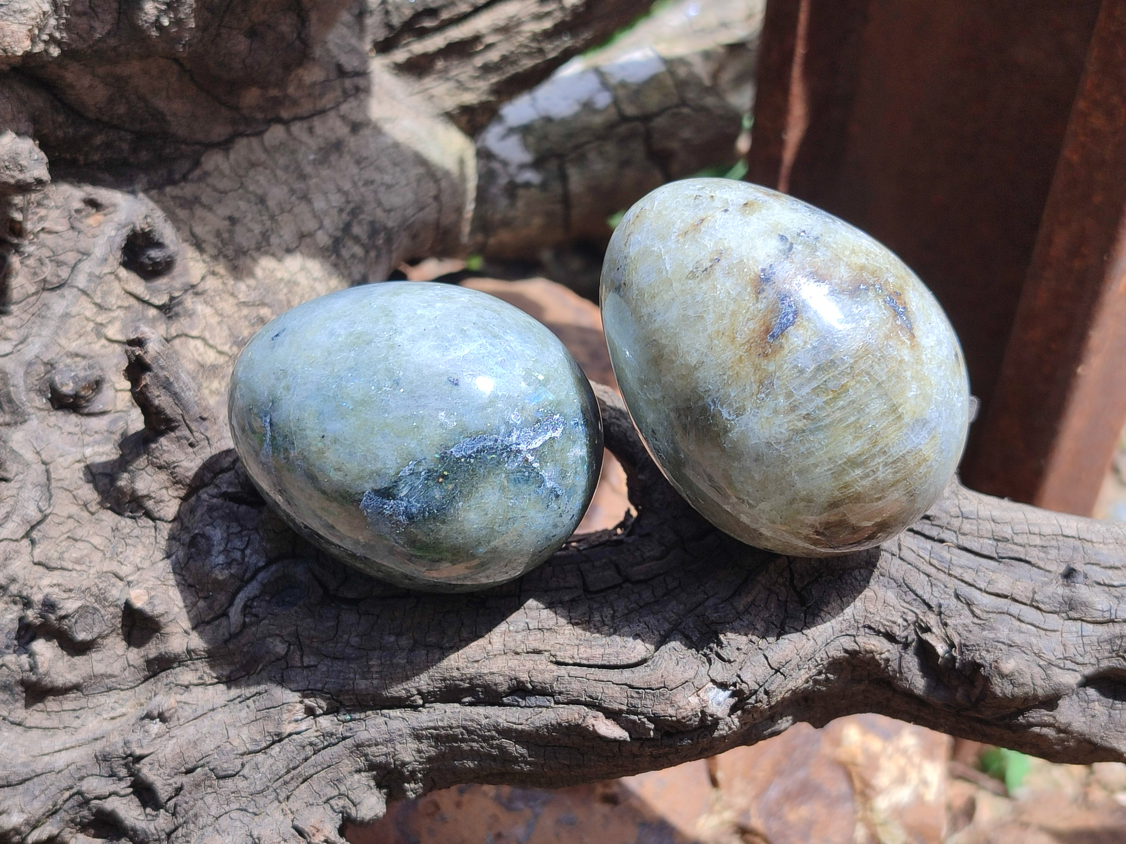 Polished White Labradorite Eggs - Sold Per Item - From Madagascar - Toprock Gemstones and Minerals 