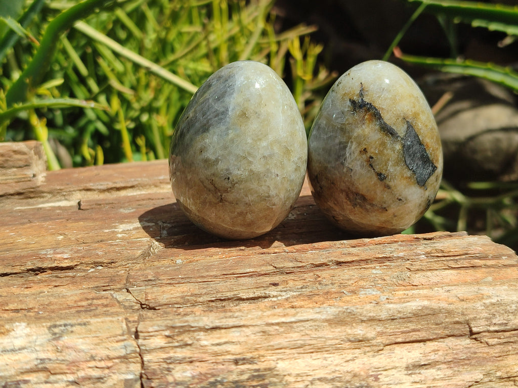 Polished White Labradorite Eggs - Sold Per Item - From Madagascar - Toprock Gemstones and Minerals 