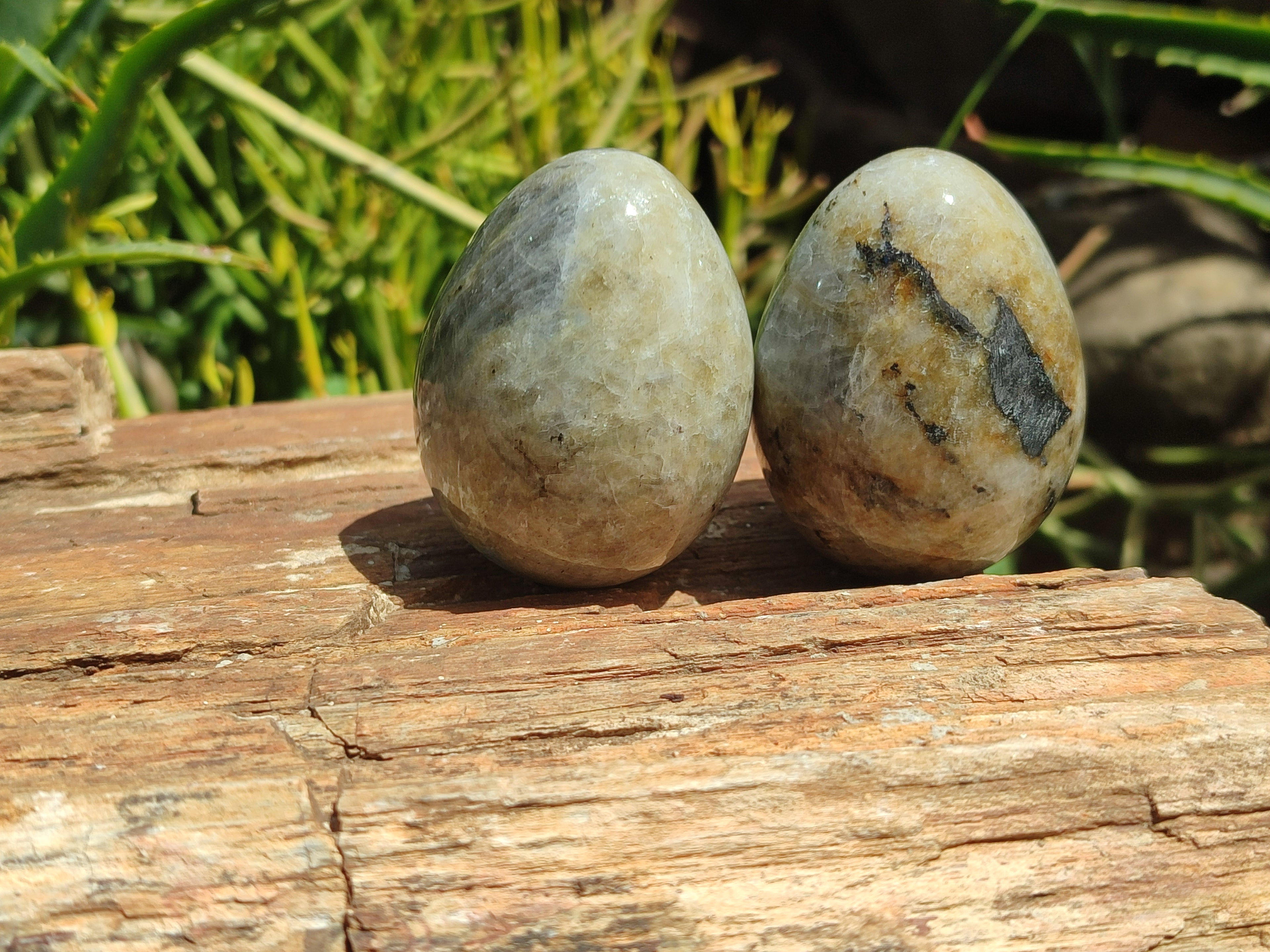 Polished White Labradorite Eggs - Sold Per Item - From Madagascar - Toprock Gemstones and Minerals 