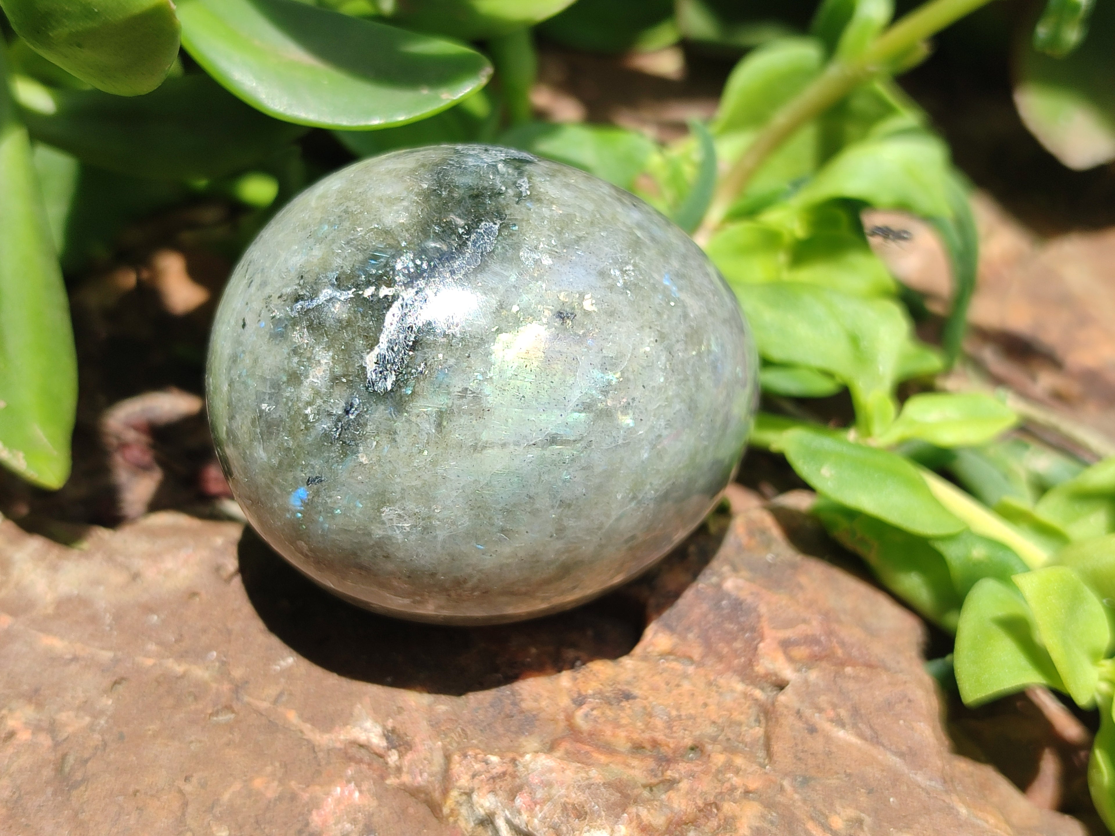 Polished White Labradorite Eggs - Sold Per Item - From Madagascar - Toprock Gemstones and Minerals 