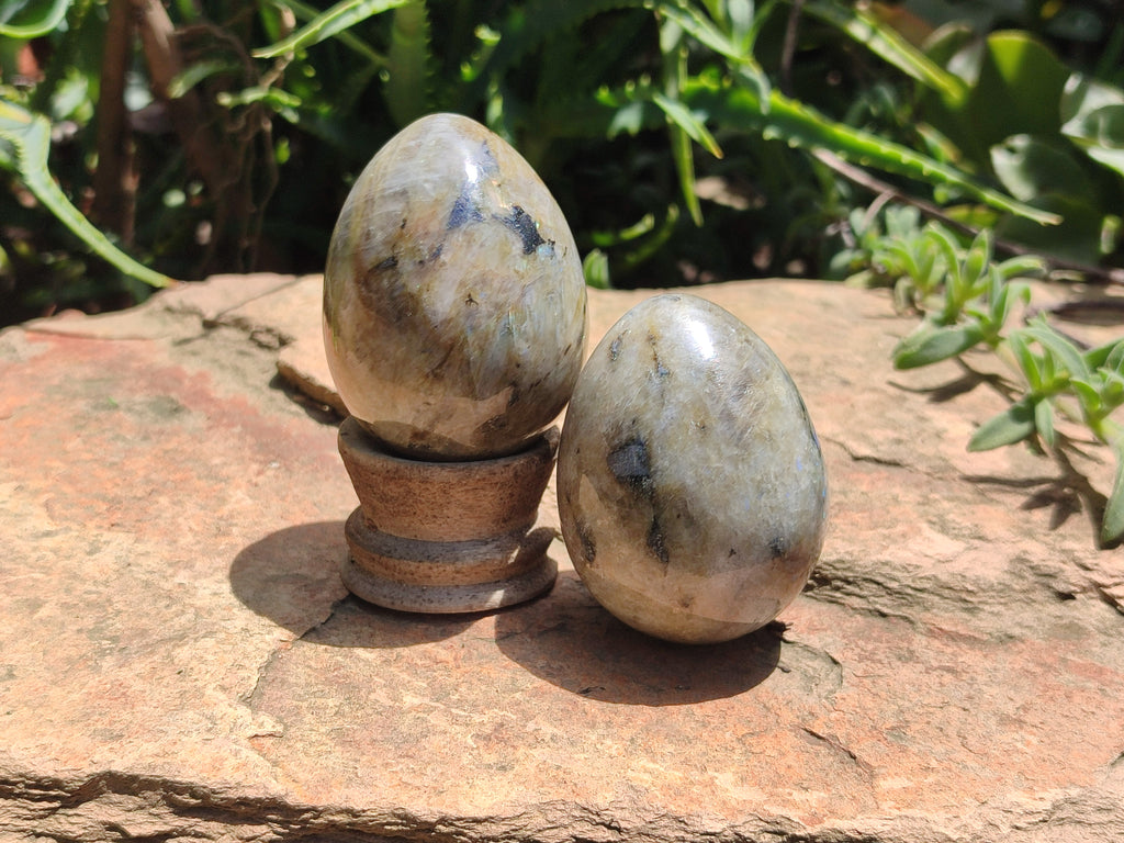 Polished White Labradorite Eggs - Sold Per Item - From Madagascar - Toprock Gemstones and Minerals 