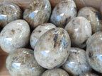 Polished White Labradorite Eggs - Sold Per Item - From Madagascar - Toprock Gemstones and Minerals 