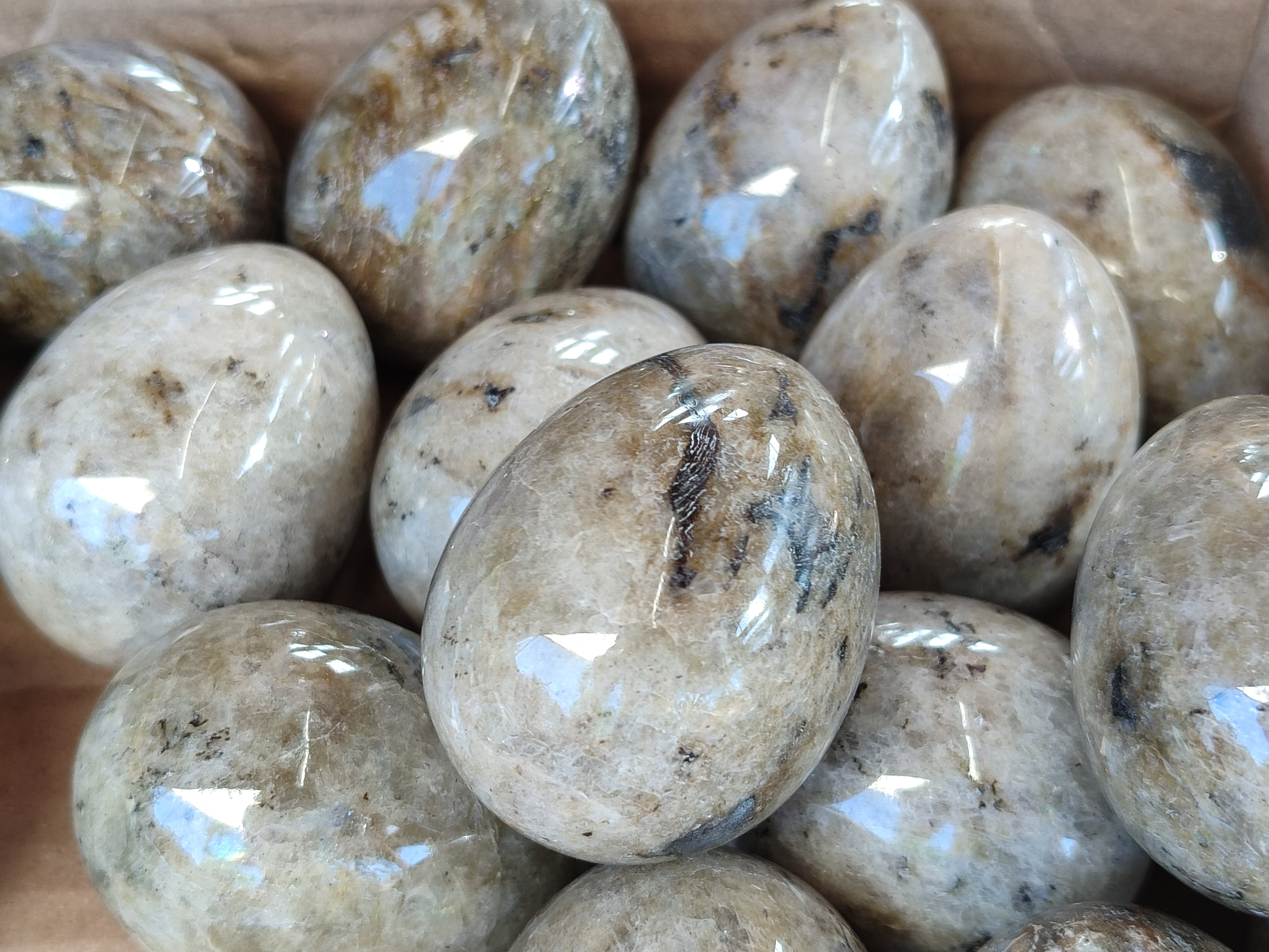 Polished White Labradorite Eggs - Sold Per Item - From Madagascar - Toprock Gemstones and Minerals 