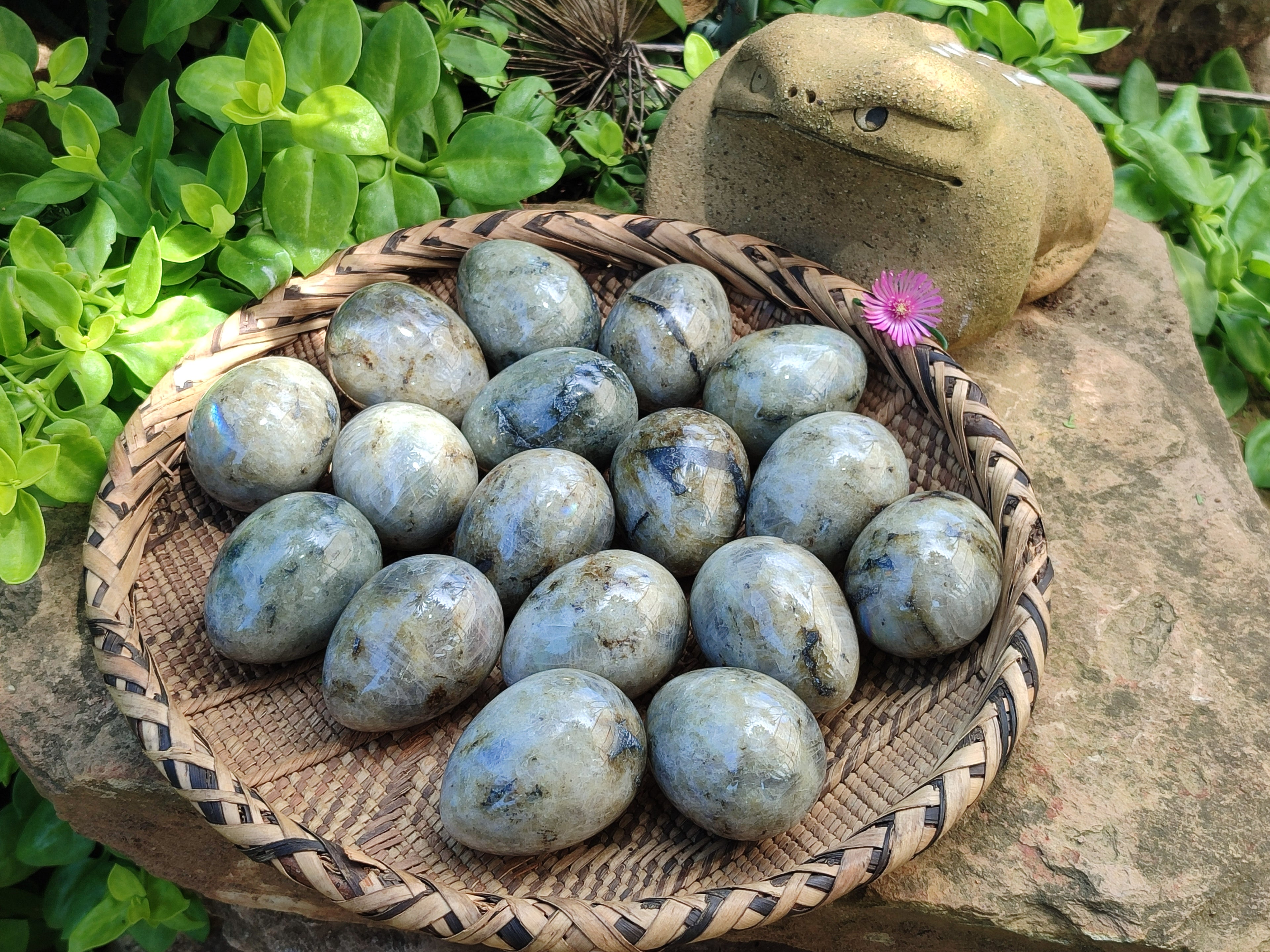 Polished White Labradorite Eggs - Sold Per Item - From Madagascar - Toprock Gemstones and Minerals 