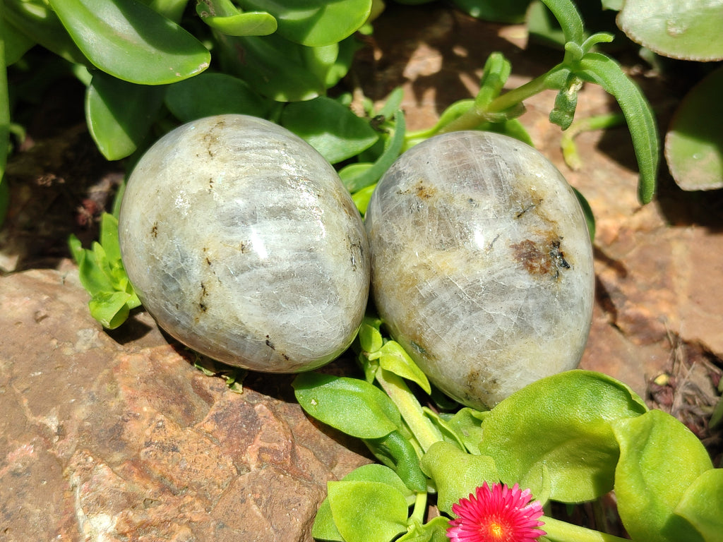 Polished White Labradorite Eggs - Sold Per Item - From Madagascar - Toprock Gemstones and Minerals 