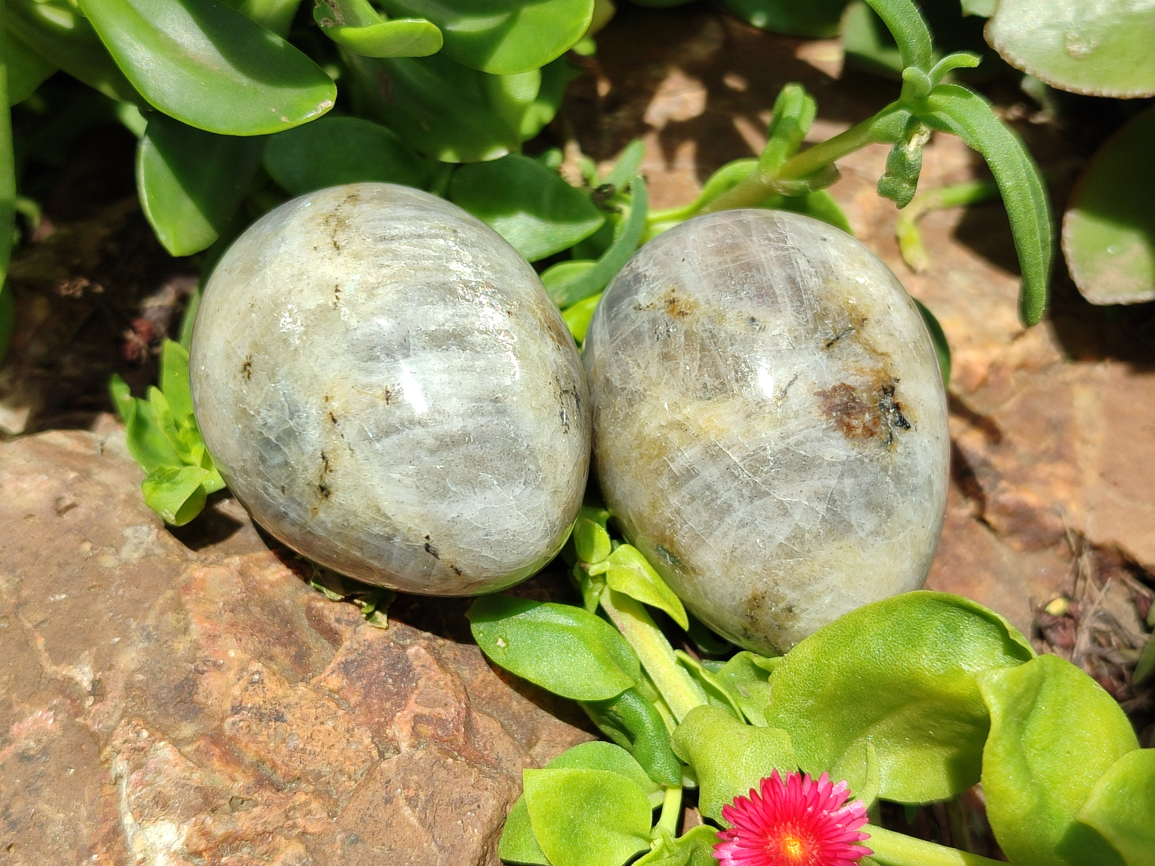 Polished White Labradorite Eggs - Sold Per Item - From Madagascar - Toprock Gemstones and Minerals 