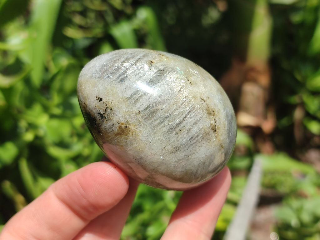 Polished White Labradorite Eggs - Sold Per Item - From Madagascar - Toprock Gemstones and Minerals 