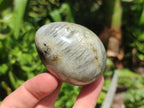 Polished White Labradorite Eggs - Sold Per Item - From Madagascar - Toprock Gemstones and Minerals 