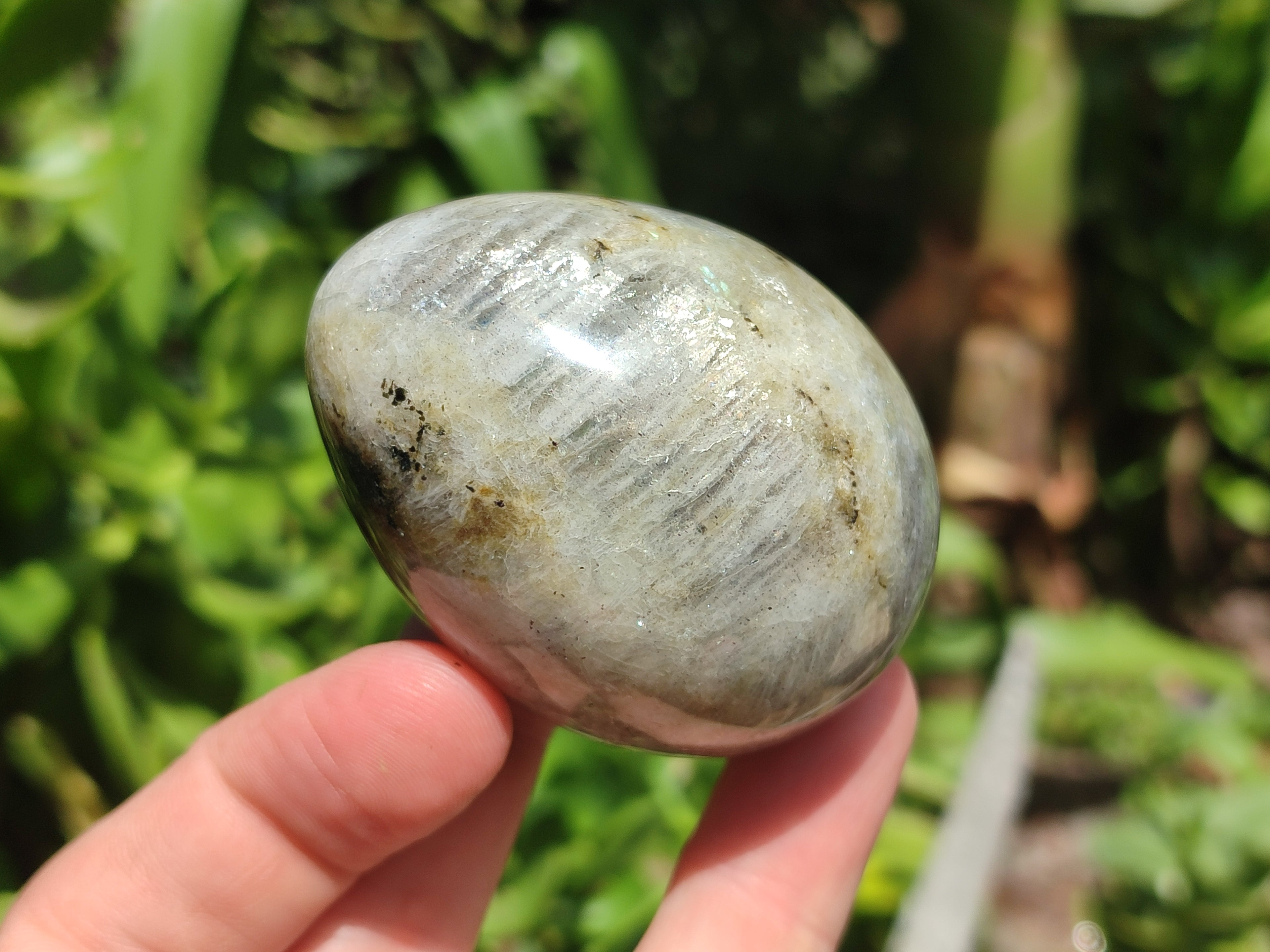 Polished White Labradorite Eggs - Sold Per Item - From Madagascar - Toprock Gemstones and Minerals 