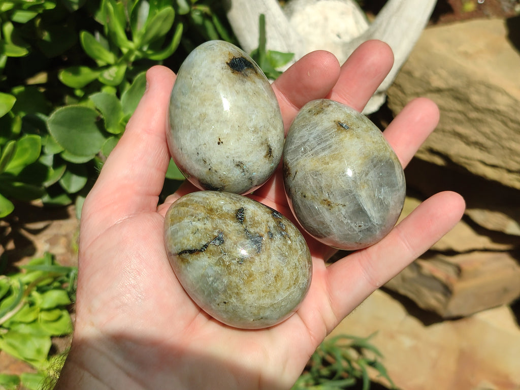 Polished White Labradorite Eggs - Sold Per Item - From Madagascar - Toprock Gemstones and Minerals 