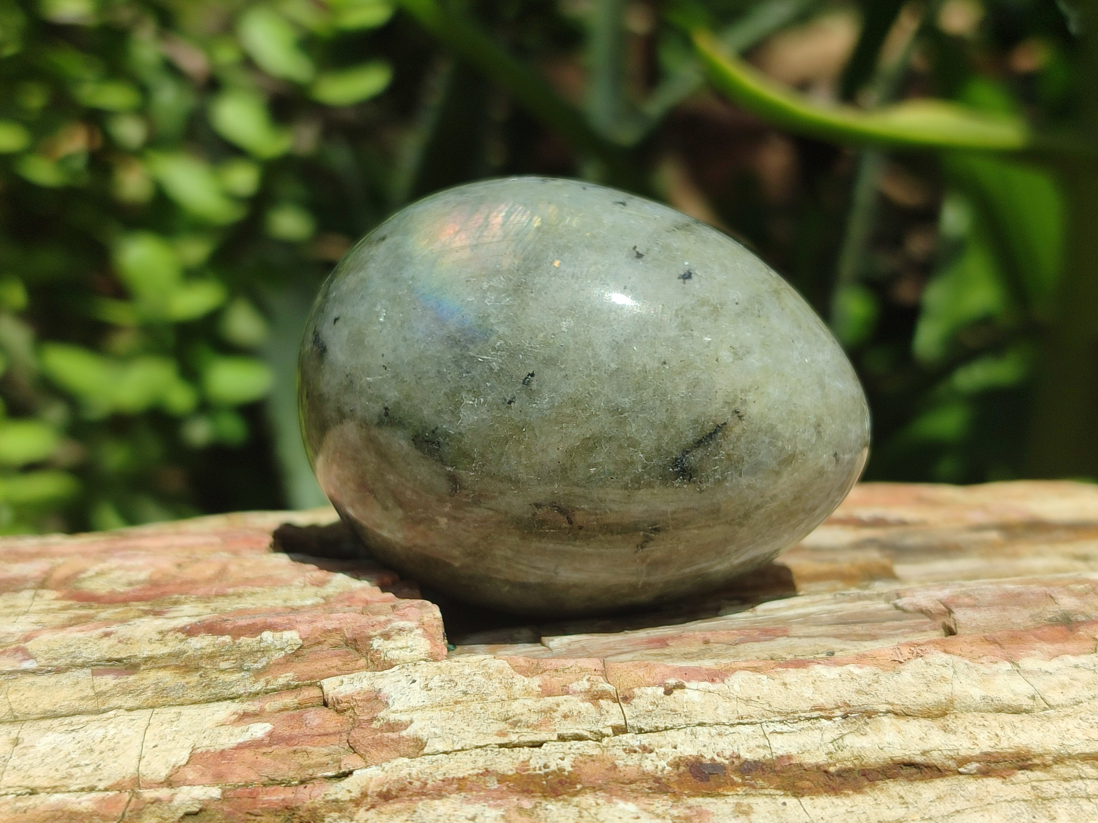 Polished White Labradorite Eggs - Sold Per Item - From Madagascar - Toprock Gemstones and Minerals 